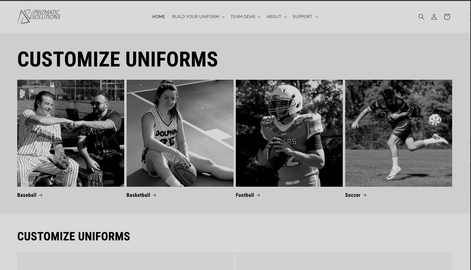 Prizmatic Solutions Shopify store before UX and SEO optimization by Your Wish Digital, showing the original product layout and navigation structure.